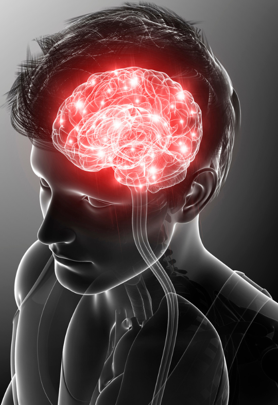 Alabama Bike accident attorneys